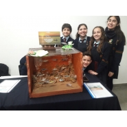 Expomaquetas